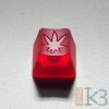 Ruby White Leaf – MX