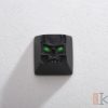 Terminal Scull - Topre