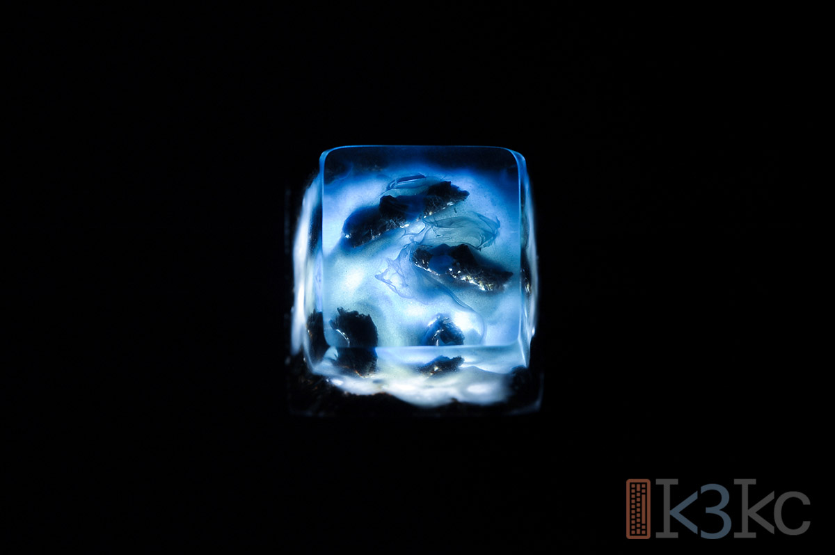 Bermuda - MX - Image 3